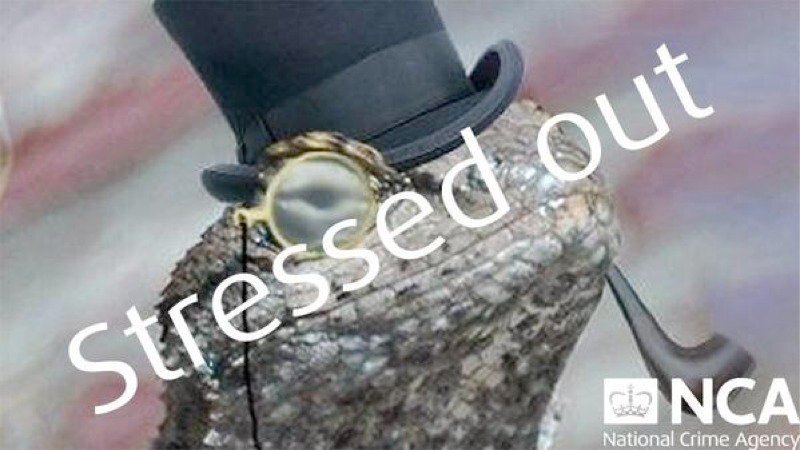 Хакеры Lizard Squad нанесли ответный удар