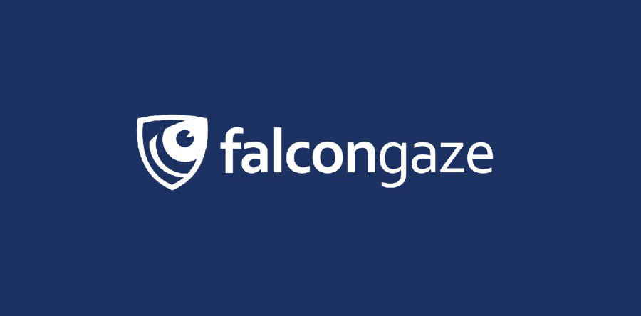 Вышла новая версия программного решения от компании Falcongaze для антикризисной защиты предприятий