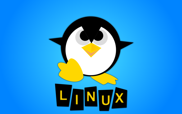 Linux что означает символ