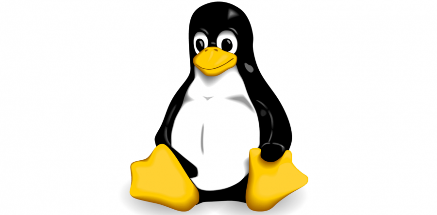Экспертами найдена уязвимость в ядре Linux