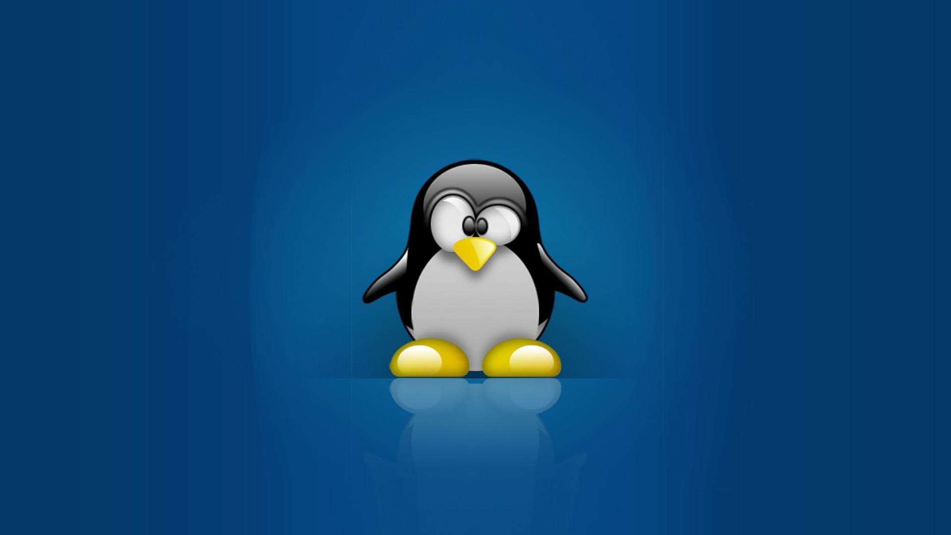 Включи пингвинчик. Пингвин Тукс Ubuntu. Пингвин Tux. Линукс дебиан Пингвин. Linux заставка.