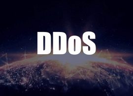 Литва предупреждает о росте DDoS-атак на правительственные сайты