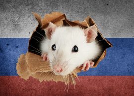 Российские организации атакованы новой вредоносной программой Woody RAT