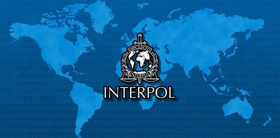 Интерпол провел крупную операцию Synergia II по борьбе с киберпреступностью в 95 странах мира